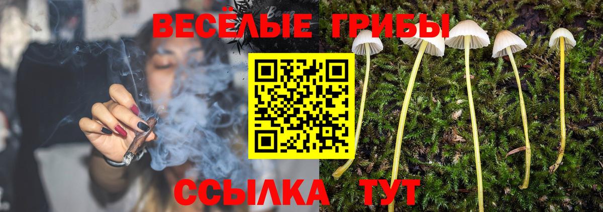 Галлюциногенные грибы мицелий  Вход с VPN  Галлюциногенные грибы Psilocybe  Майский 